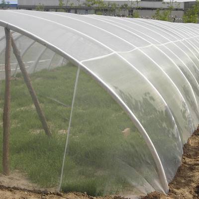 quality Agricultural insect net