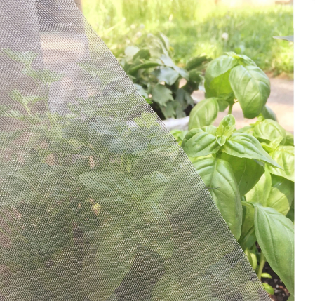 Discount Agricultural insect net from China manufacturer